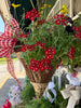Hanging Basket