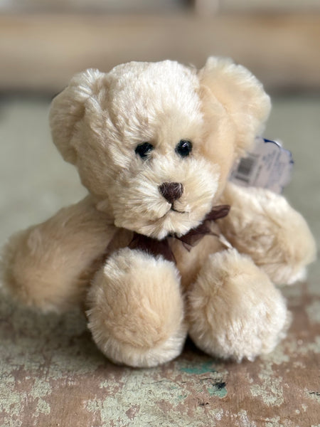 Teddy Bear